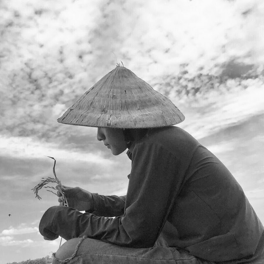 nhận xét